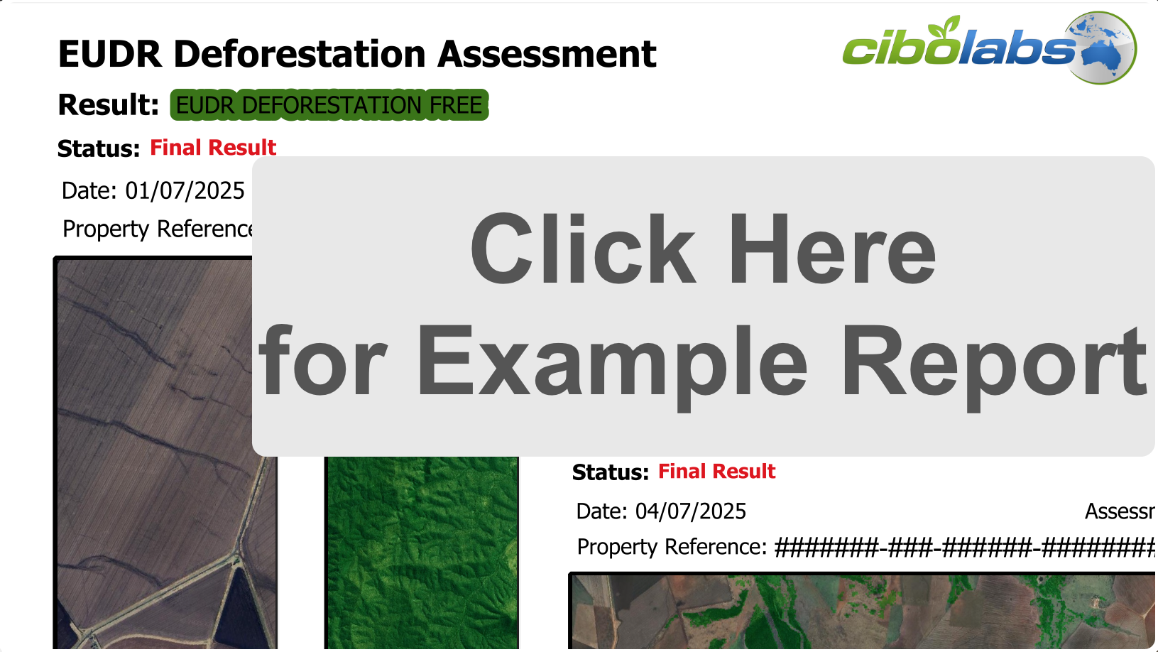 DeforestationAssessmentReport-Examples3_v2-1