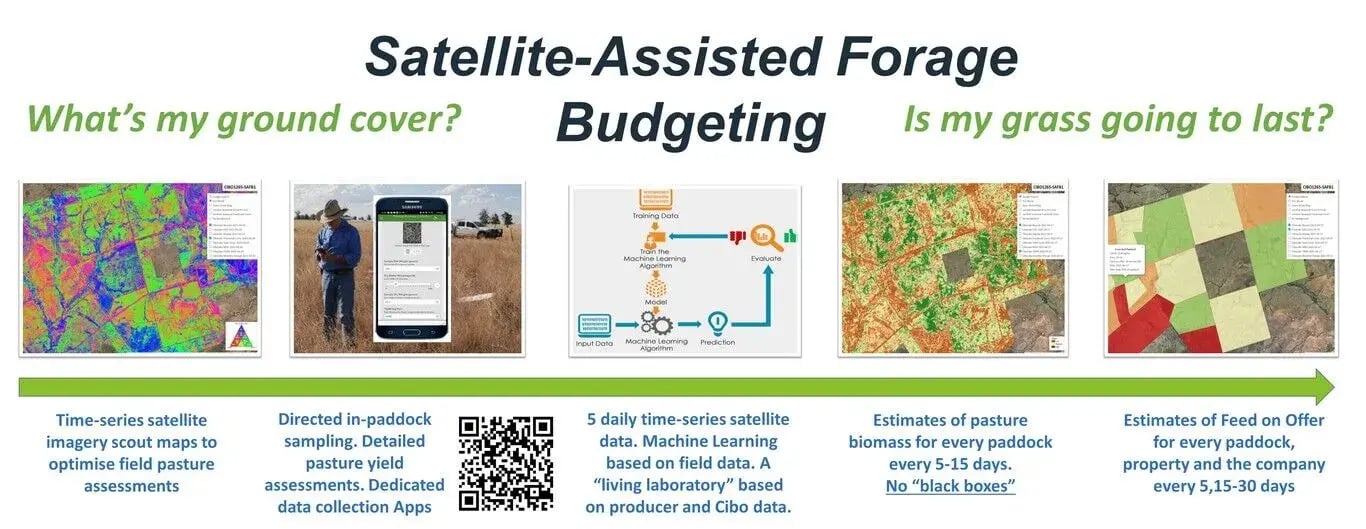 satellite assisted forage